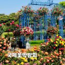 노래하는분수대 광장 | 고양시 꽃박람회 2026 실시간 후기! 고양국제꽃박람회 주차, 개화상황, 관람 꿀팁 총정리