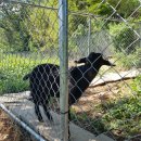 염돌이농장 이미지