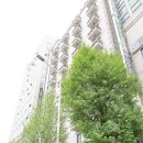 궁전모텔 | 광명호텔추천 노블레스 넷플릭스도됨 내돈내산