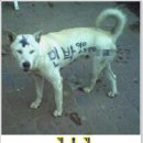 굿아이디어