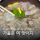01-71 동구 | 가을이 제철! 탱글달큰한 생새우 회 대구 바다와에서 즐기기