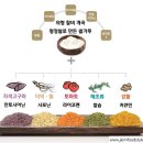 한송푸드(주) 네이버블로그