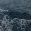 트라이보울 이미지