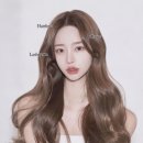 비비드아트
