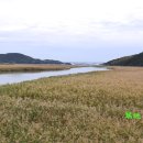 벌교생태공원 운동장 이미지