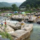 천동물놀이장 이미지