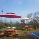 와흘리 1798 이미지