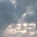 석양이 아름다운 형제섬 농원 이미지