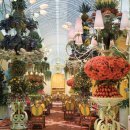 호텔 더 윈 이미지