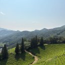 보성아이스크림 이미지