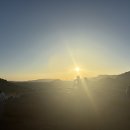 TJ상사 | MSC 명상 프로그램 참여 후기 (feat. 나만의 셀프체크 루틴 만들기, 스트레스 관리 추천, 동기부여)