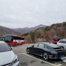 자연산장