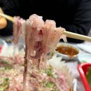 강씨횟집 - 창원시 성산구 삼귀로 373-17 | 강씨횟집