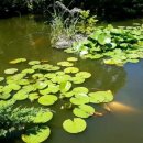 교산저수지 이미지