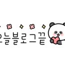 노블레스아카데미주 이미지