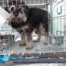 보라매공판장