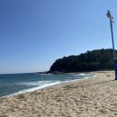 비올레띠 이미지