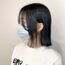 해이담헤어