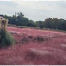 비지팅복지용구 이미지