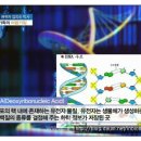 미국 최고 암병원 MD앤더슨 종신교수 김의신 강의내용 이미지