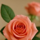 서귀포시 노인복지회관 이미지