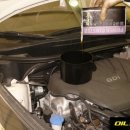 뉴오일존 이미지