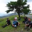 노송목장 이미지