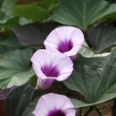 수석3통 마을회관 이미지