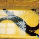 남양호 상류 이미지