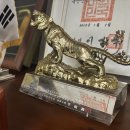 동행하는 행정사 이미지