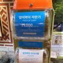 해드림투어