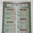 쭈꾸미하우스 | 무창포해변 쭈꾸미축제 맛집, 살아있는 쭈꾸미 샤브샤브 그린하우스, 봄마다 방문하는 내돈내산 후기