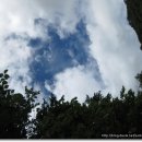 지리산愛 이미지