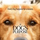 어게인 11월 이미지