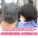 매직엔젤샵