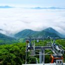 하동케이블카 이미지