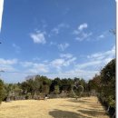 와흘리 1798 이미지