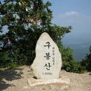 망 미 정 이미지