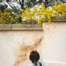 스테이아르크