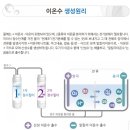 블루웰 이미지