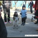 민용농장 이미지