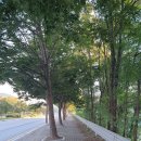 향토순례 5탄 류득공 선생 묘역답사 (2022. 9. 2.)