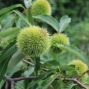 하늘농장3 이미지