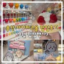 친구야 뽑기하자 | 용산 아이파크몰 팝업 9월｜치이카와·말랑이·홉티미스트 직접 둘러본 후기