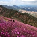 [2016, 04, 16][57회]창원 천주산(639m)진달래산행 정기산행공지 이미지