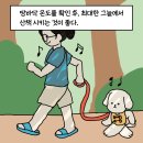 너만멍냥 이미지