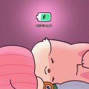 (주)씨,앤,씨 이미지