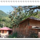 화원자연휴양림 이미지