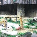 창림 이미지
