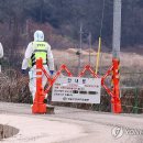 일파만파농장 이미지